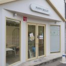 퍼피비스킷 이미지