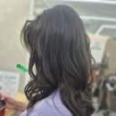 일산로636번길 이미지