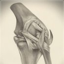 웰본정형외과의원 | 송파역 정형외과 재활 운동 성공 사례와 회복 프로그램 완벽 후기 9월 19일