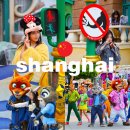 미스터빅 | 상하이 디즈니랜드 상해 입장 오픈 티켓 DPA 트론 주토피아 후기