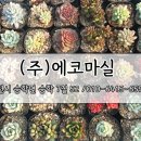 농업회사법인(주)에코 이미지