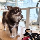 태성동물병원 이미지