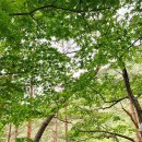 영월캠프 이미지