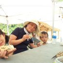 백두대간목재문화체험관 이미지