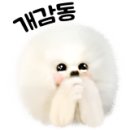 푸르미네 수제간식 이미지
