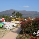 거제식물원 이미지