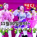 버드리 이미지
