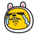 팔레드시즈 이미지