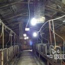 신영농장 이미지