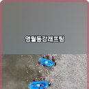 서바이벌래프팅세상