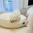 매직세탁하우스 이미지