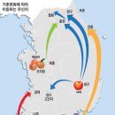 원양참치 - 영등포구 당산로32길 5 | 원양참치