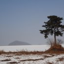 교동주유소 이미지