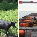 달아래한옥펜션 이미지