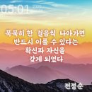 토성오리 이미지