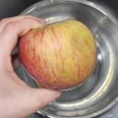 과일아쥬스해 | 아침엔과일 사과 :) 경북 청송 가정용 쥬스용 못난이 부사 사과 구매 후기