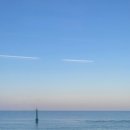 어,달달하리 이미지