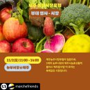오마이솔트랩