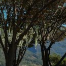 빌라 마르디 이미지