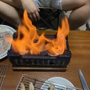우리는 산으로 들로 바다로 떠나지
