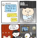105 | 기아타이거즈 춘잠 105사이즈 후기 춘추점퍼 사이즈 고민
