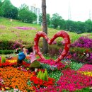 철쭉동산 이미지