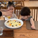 천평농장 | 대구 근교 나들이, 아기랑 가기 좋은 영천 '산908' 팜크닉 유리온실