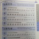 우후죽순(유) 이미지
