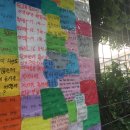 녹번초 후문 이미지