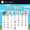 멍류장 이미지