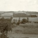 아브라함농장 이미지