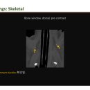 24시 지구촌 동물메디컬 센터 네이버블로그