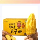 해남 꿀고구마 65% 할인?! 4.5점 후기의 진실 파헤치고 꿀팁 레시피까지!