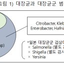 대일냉동식품 이미지