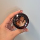닥터아브