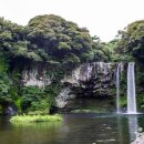 천지연로 이미지