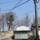 [공지] 심빵 제조업소
