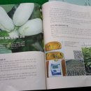 포포농원