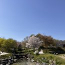 하림공원(이벤트광장) | 합천 황매산 철쭉 보러 다녀왔어요! 황매산 군립공원축제 먹거리 정보 및 가격