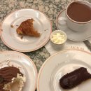 초코약국 이미지