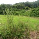 곡성-155 이미지