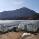 범일농장 이미지