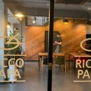 리코파파 원평점 이미지