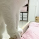 무념무상 이미지