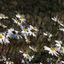 소리모아 이미지