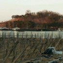 고막농장 이미지