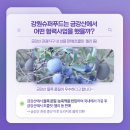 강원슈퍼푸드 네이버블로그