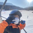 엘리시안강촌스키강습더케이스키스쿨