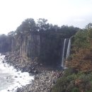 천제연폭포 이미지