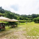 초록산산림욕장 티스토리